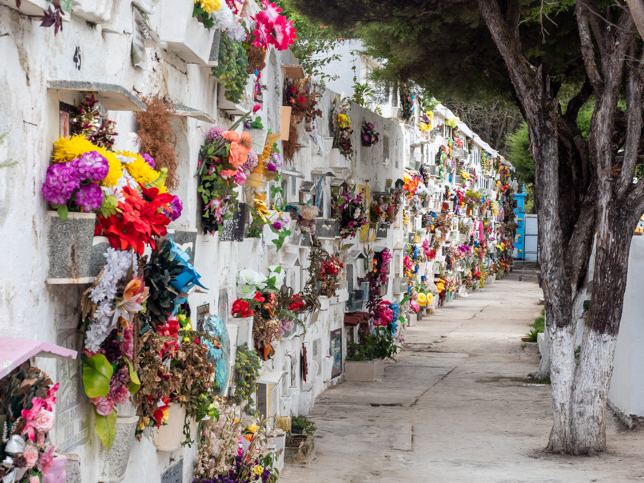 Jocotenango; cemetery