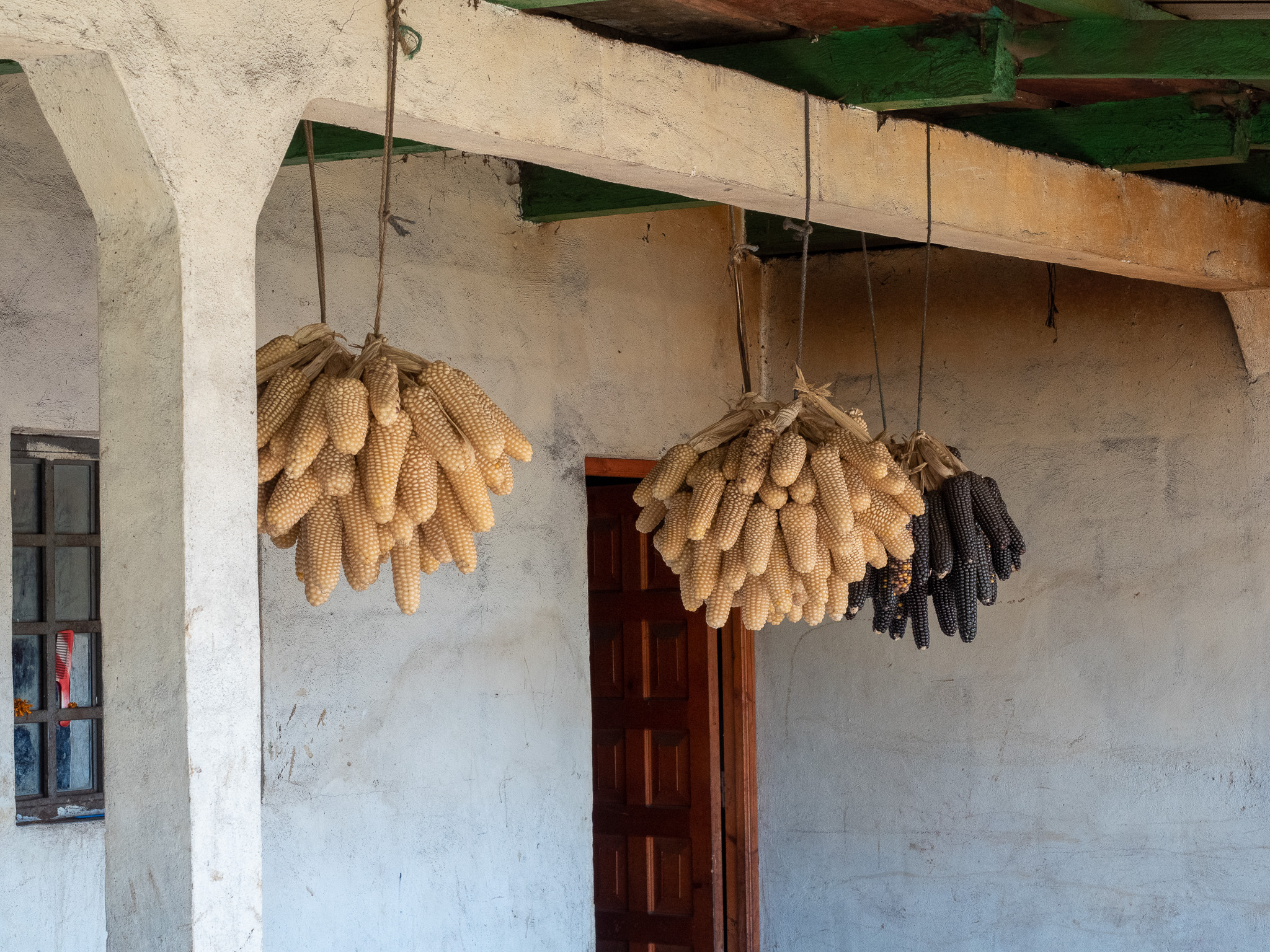Esperanza; drying black and white corn at the farmstead where we had lunch