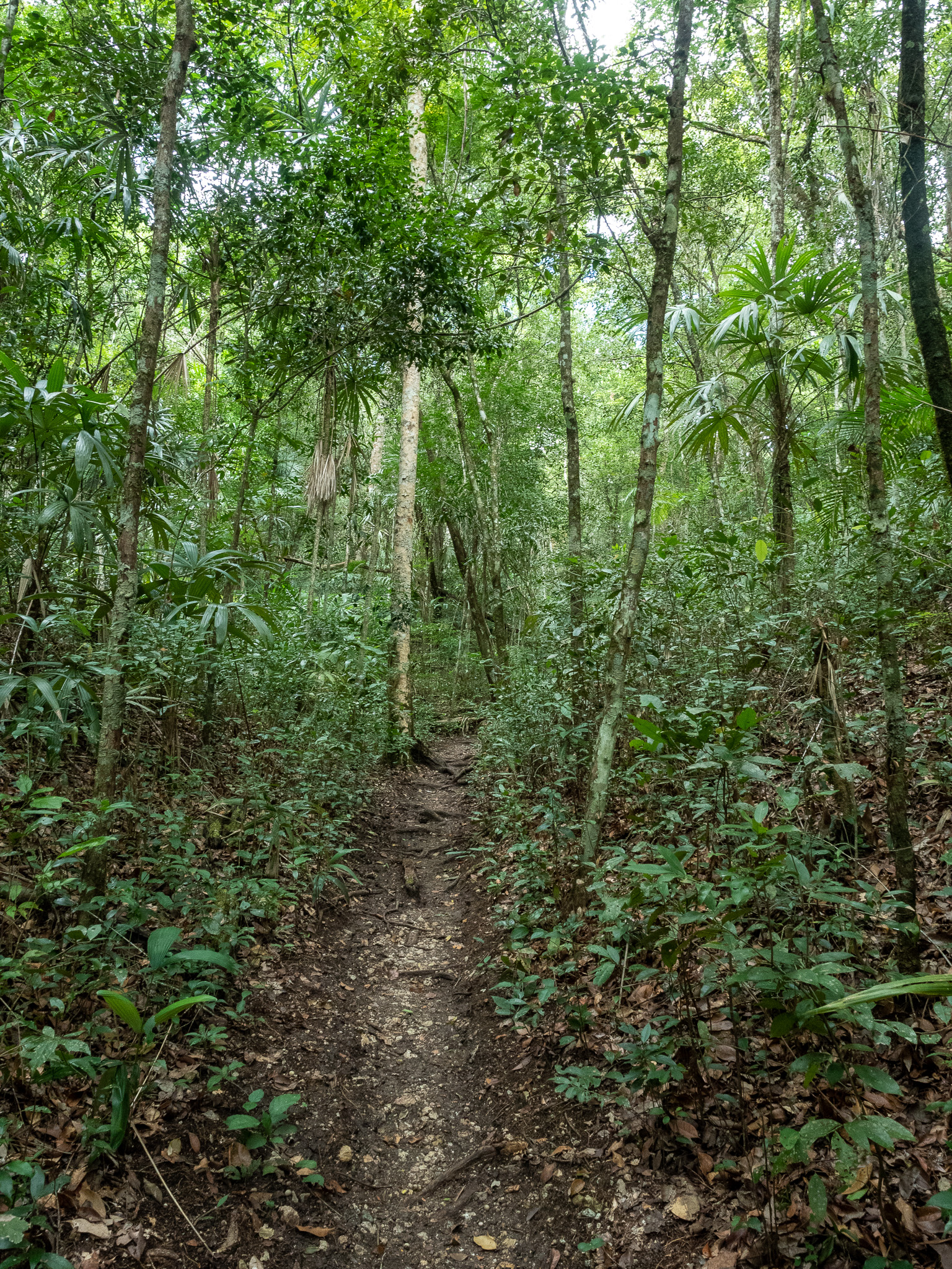 Carmelita, Petén province; setting off for Maya sites La Florida, El Tintal and El Mirador