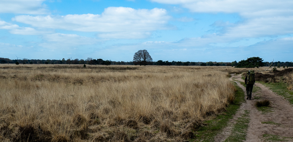 Kampina (Noord-Brabant)