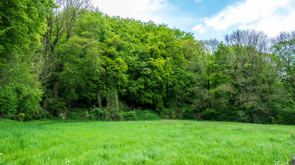 Bovenste Bosch - Epen (L)