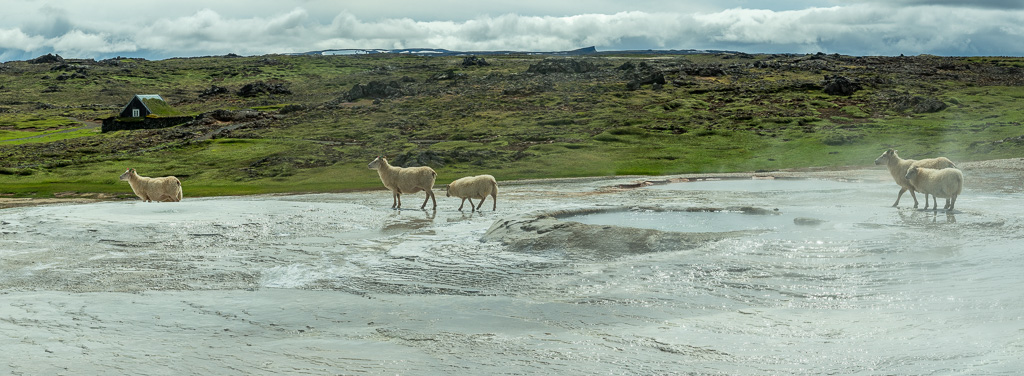 Hveravellir geothermal area