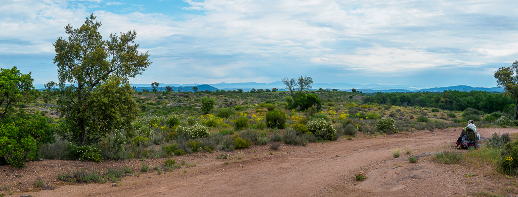 The Plaine des Maures east of the Mourrefrey river