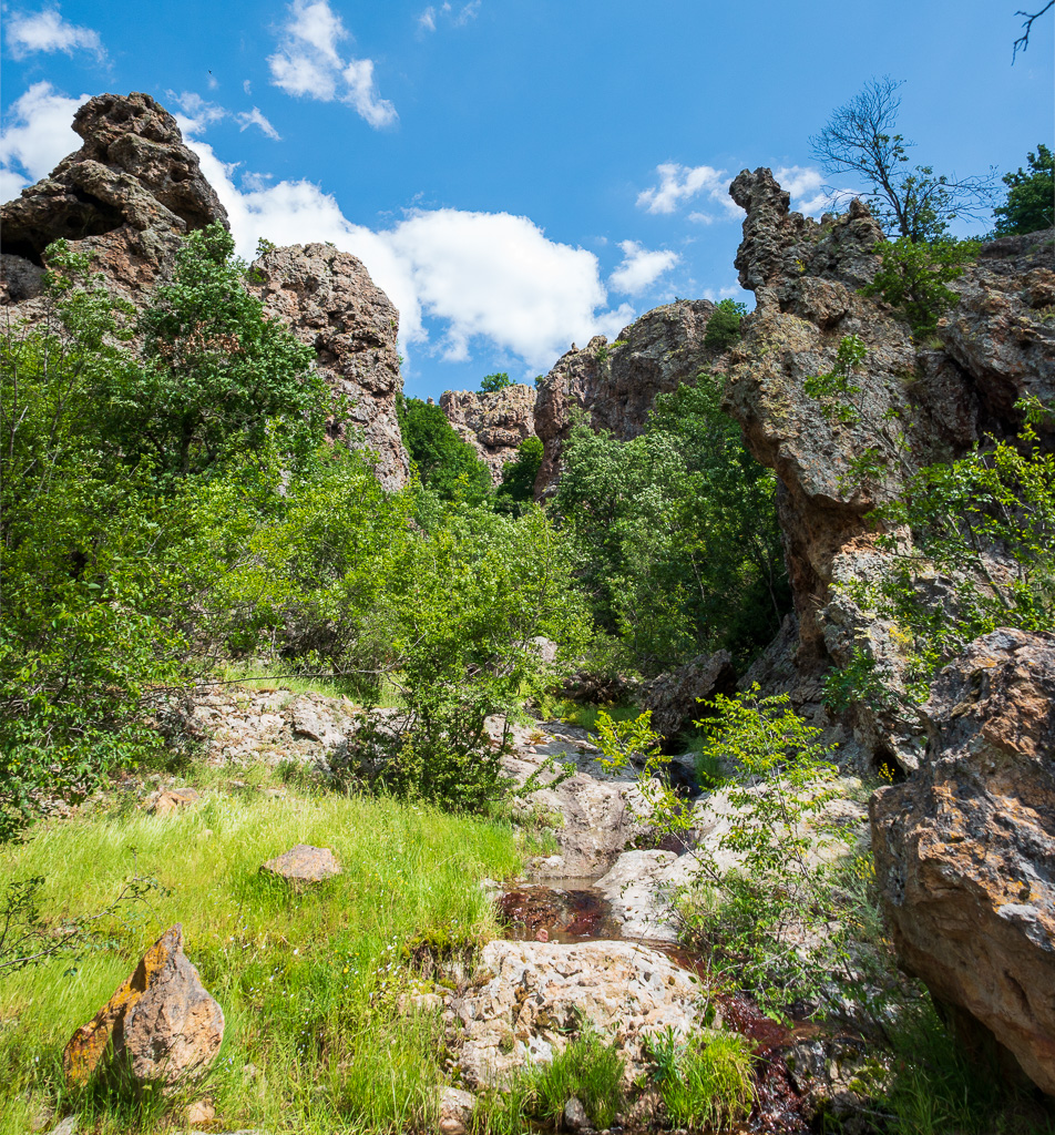 In the Gyurgensko Dere gorge southeast of Madzharovo town