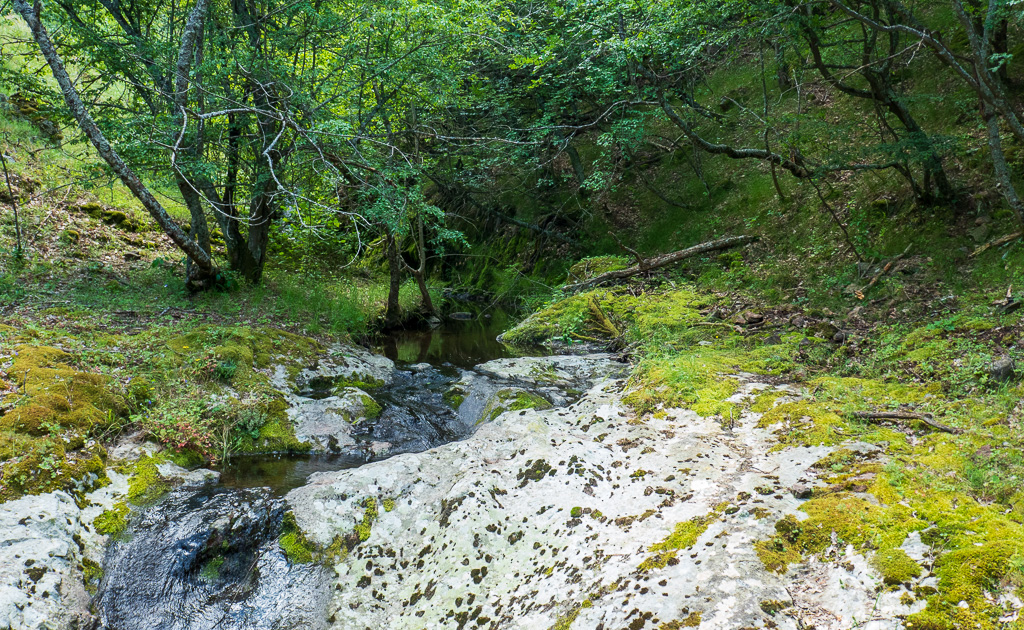 The Gyurgensko Dere stream southeast of Madzharovo town